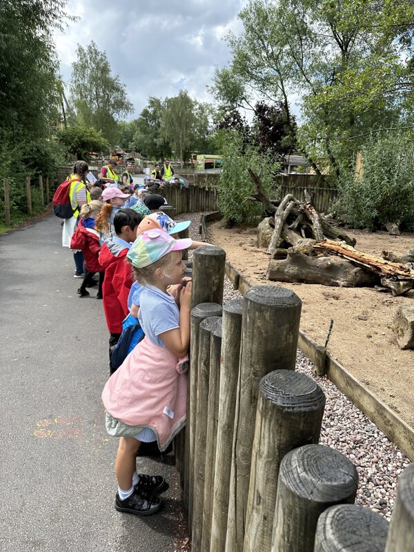 Year 1 Knowsley Safari Park Trip Westbrook Old Hall Primary School